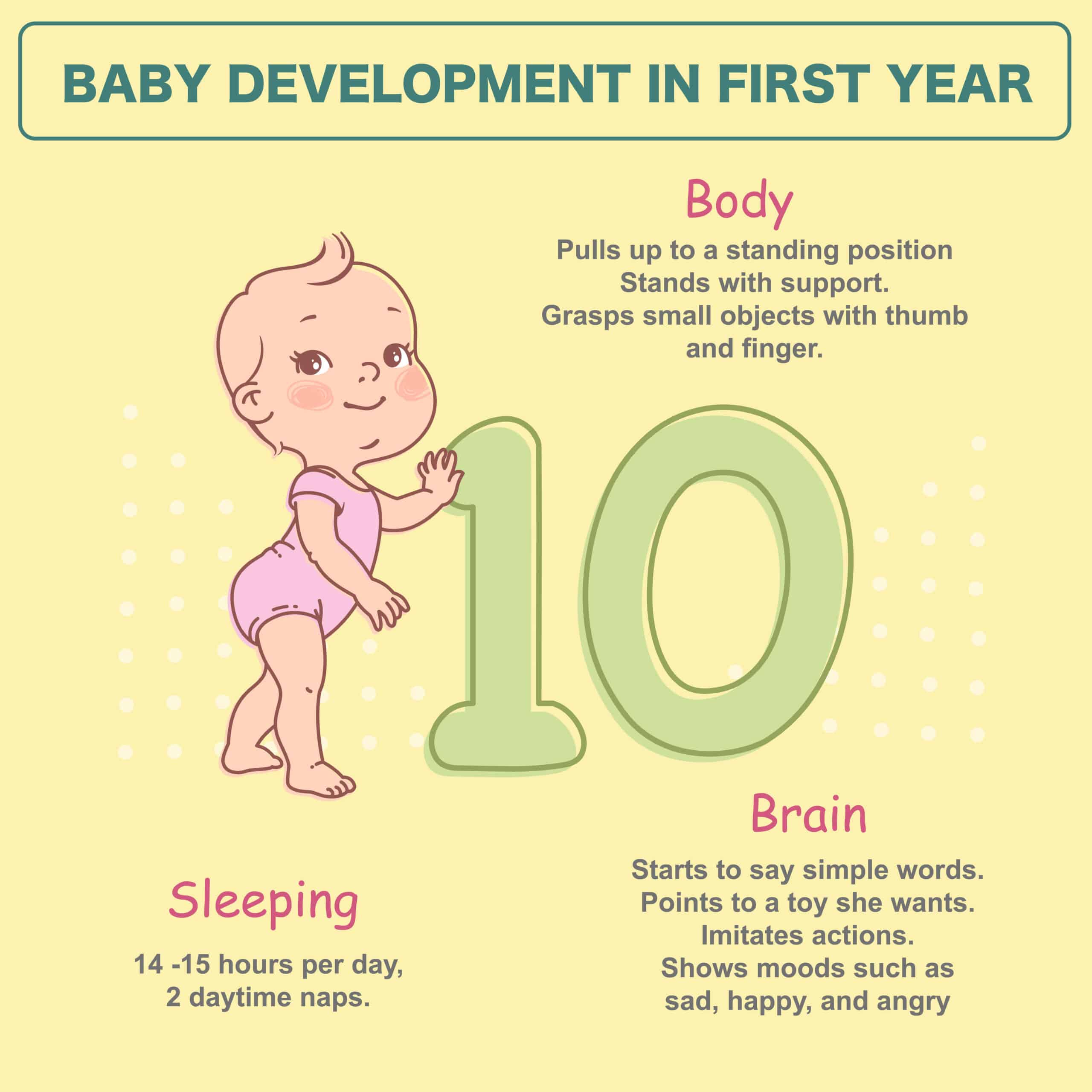１０ヶ月児の説明