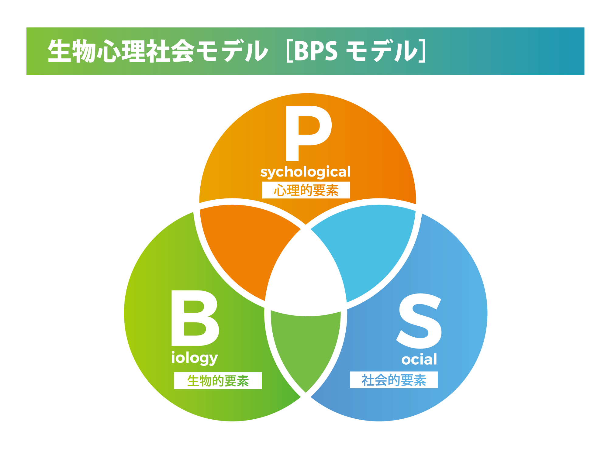 BPSモデル
